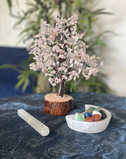 Selenite Moon Bowl