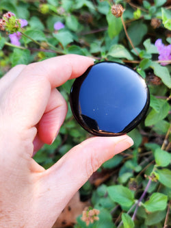 Black Obsidian Palm