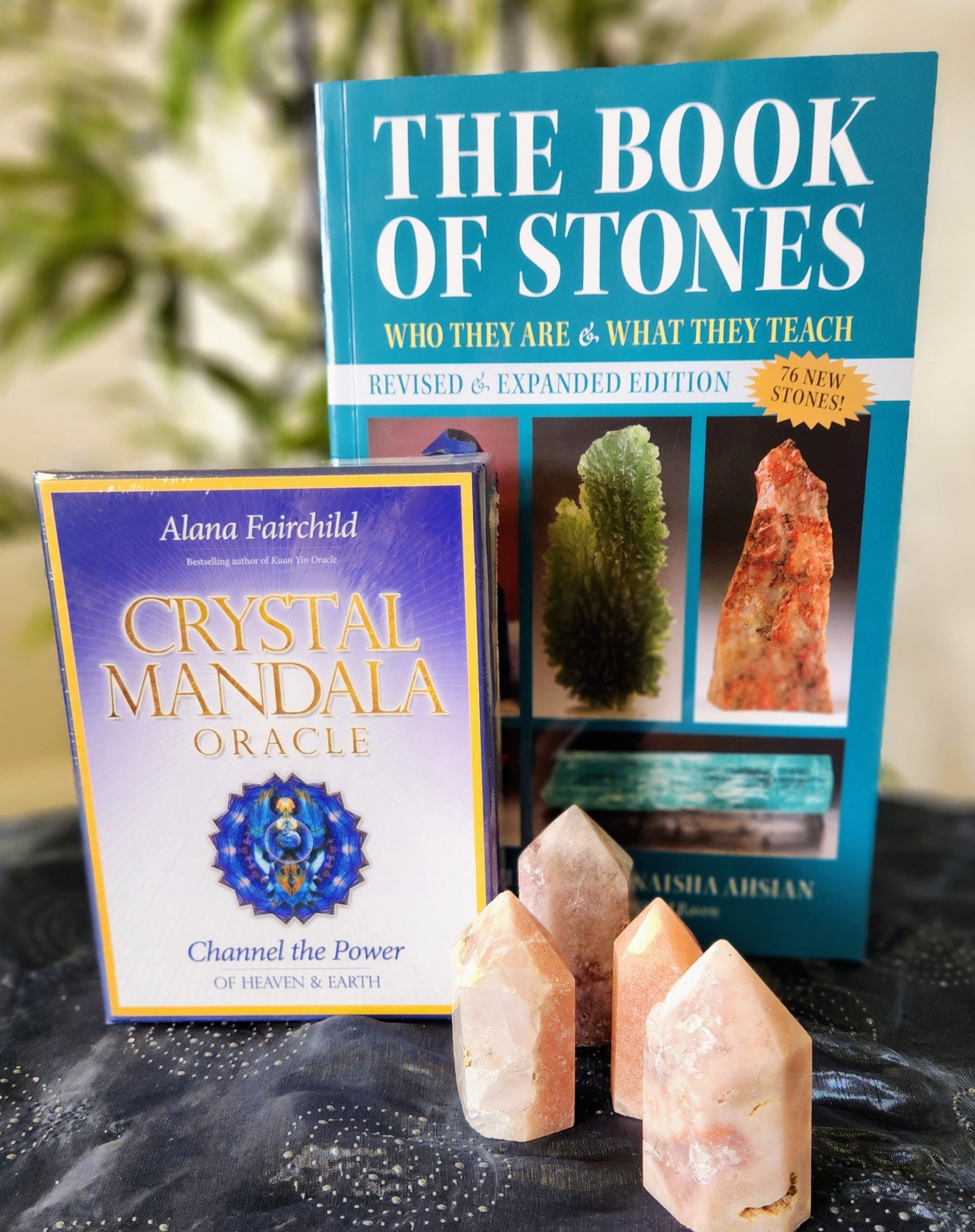 The Book of Stones