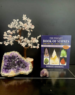 Amethyst Chevron Turtle